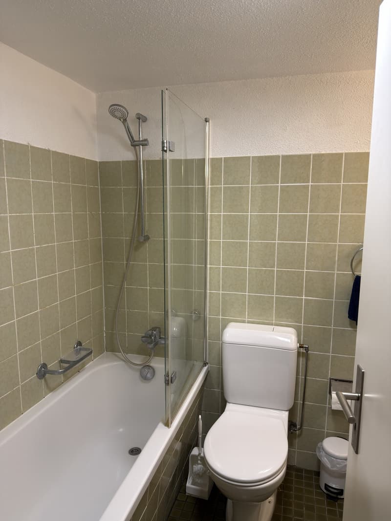 1.5 room apartment for rent in Zurich old town (4)