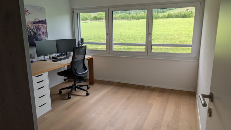 Modern 3.5-room apartment in Neftenbach (7)