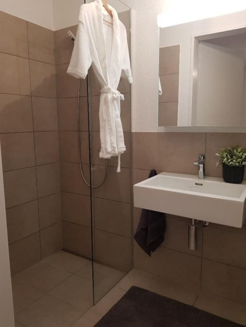Modern 3.5-room apartment in Neftenbach (8)