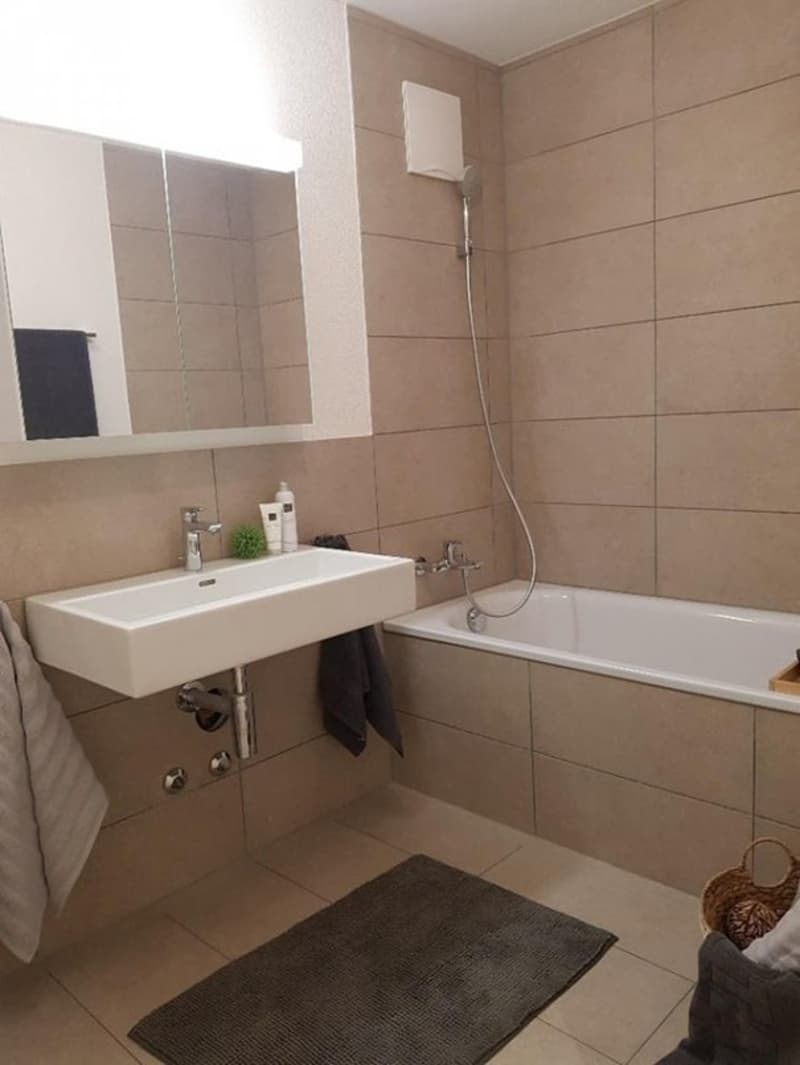 Modern 3.5-room apartment in Neftenbach (9)