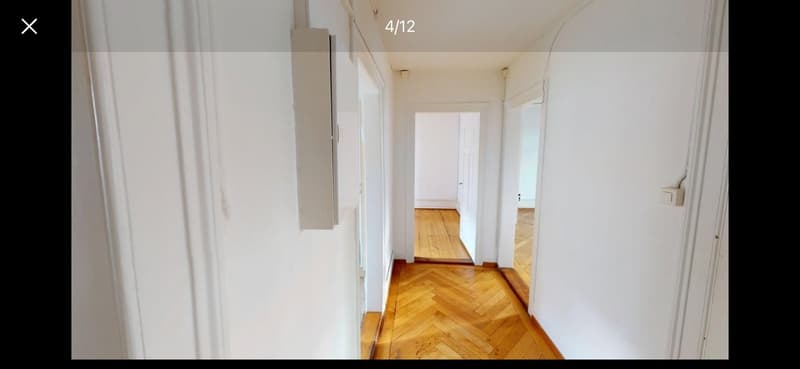 3 1/2 room apartment in trendy Wiedikon (10)