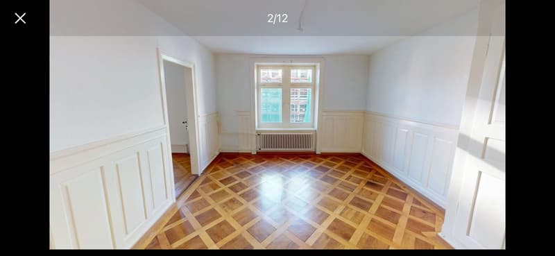 3 1/2 room apartment in trendy Wiedikon (11)