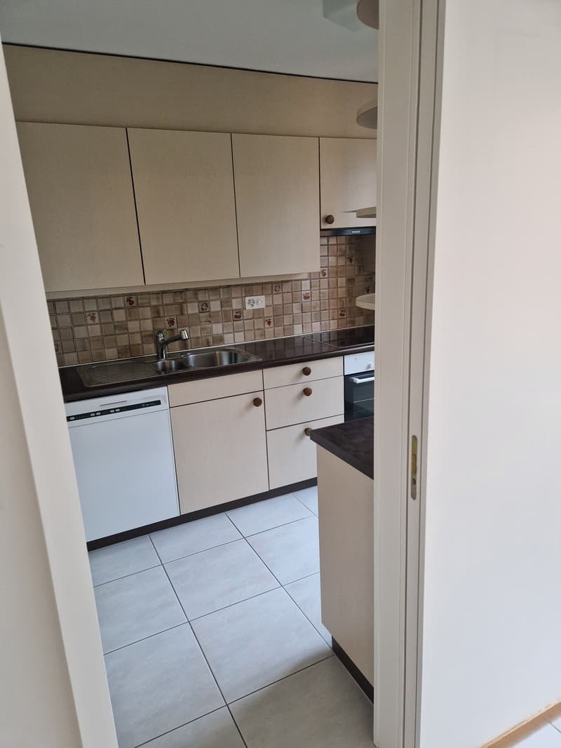 Appartement lumineux de 4,5 pièces à Zurich Leimbach disponible immédiatement ou sur accord (9)