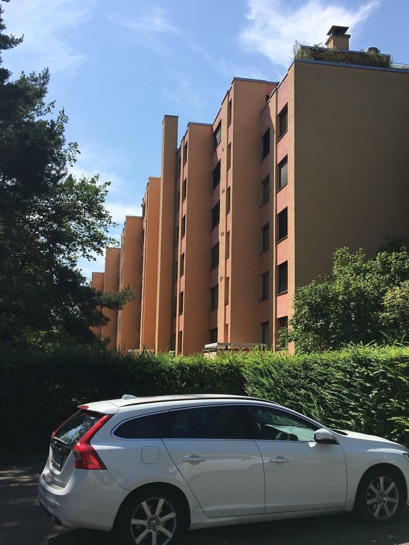Appartement lumineux de 4,5 pièces à Zurich Leimbach disponible immédiatement ou sur accord (4)
