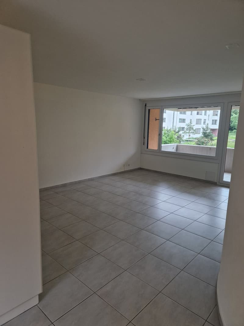 Appartement lumineux de 4,5 pièces à Zurich Leimbach disponible immédiatement ou sur accord (11)