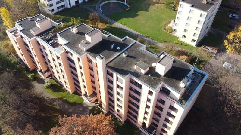 Appartement lumineux de 4,5 pièces à Zurich Leimbach disponible immédiatement ou sur accord (3)