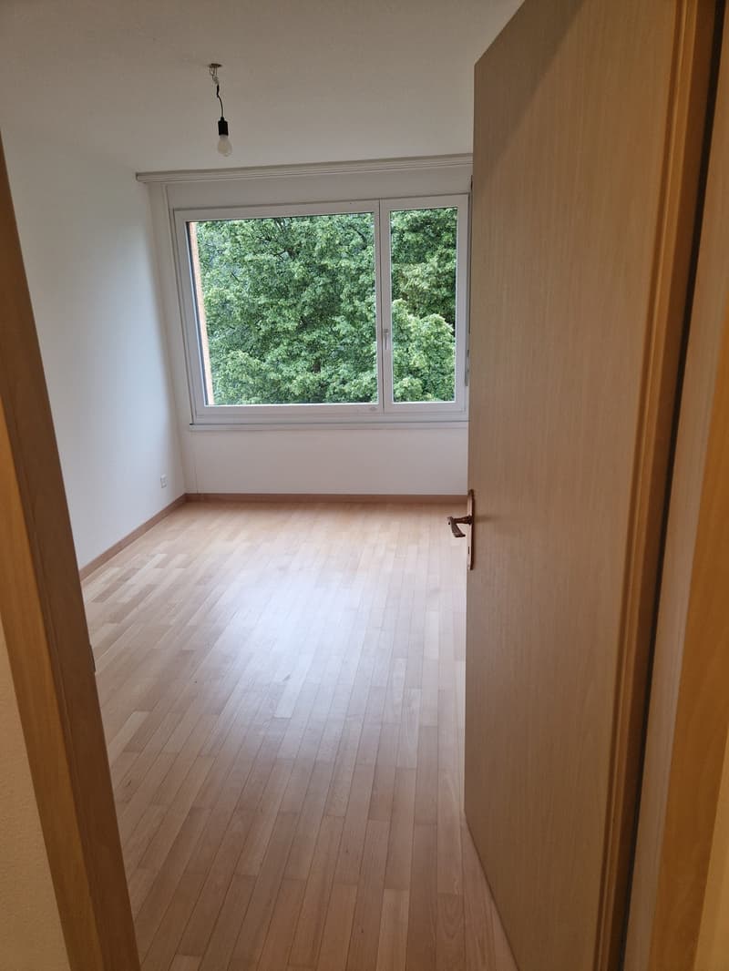 Appartement lumineux de 4,5 pièces à Zurich Leimbach disponible immédiatement ou sur accord (7)