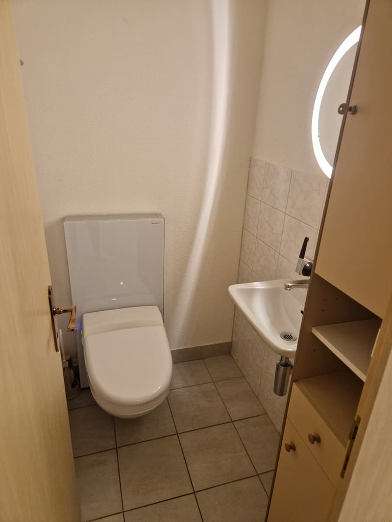 Appartement lumineux de 4,5 pièces à Zurich Leimbach disponible immédiatement ou sur accord (8)