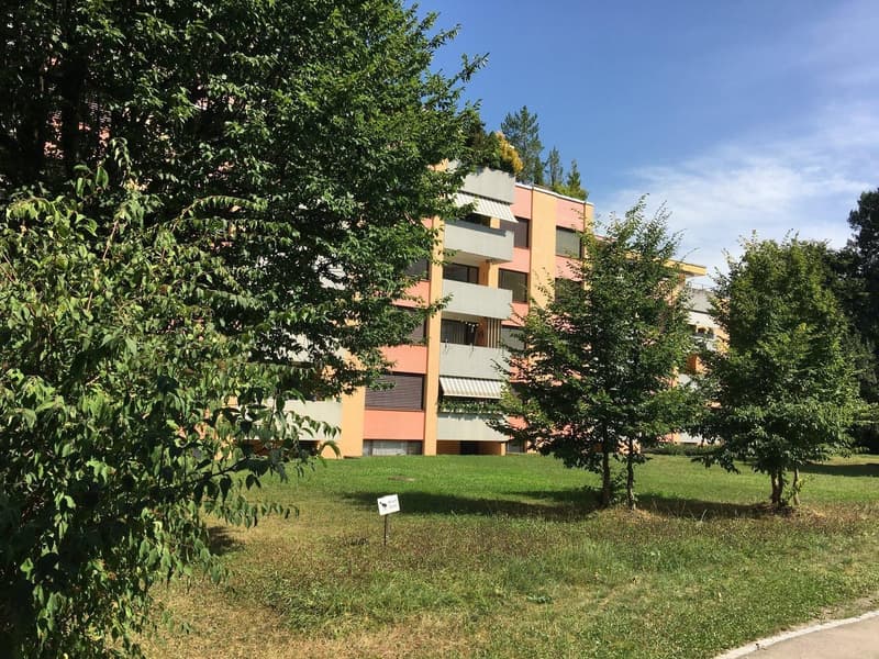 Appartement lumineux de 4,5 pièces à Zurich Leimbach disponible immédiatement ou sur accord (5)