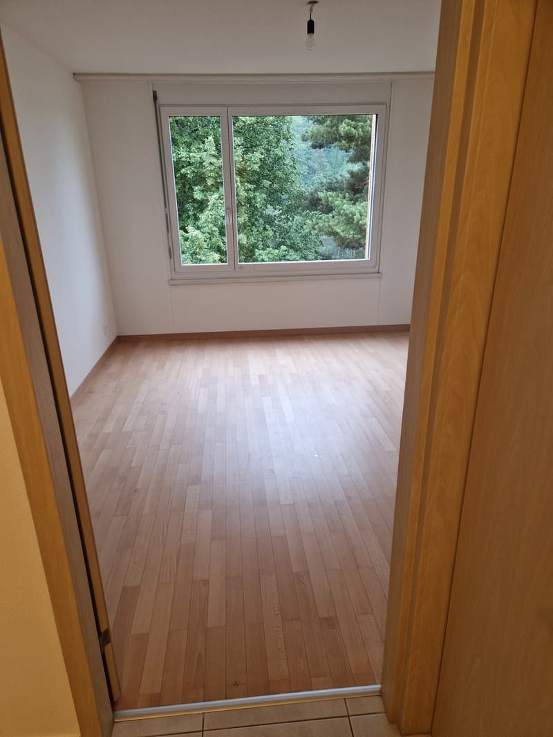 Appartement lumineux de 4,5 pièces à Zurich Leimbach disponible immédiatement ou sur accord (12)