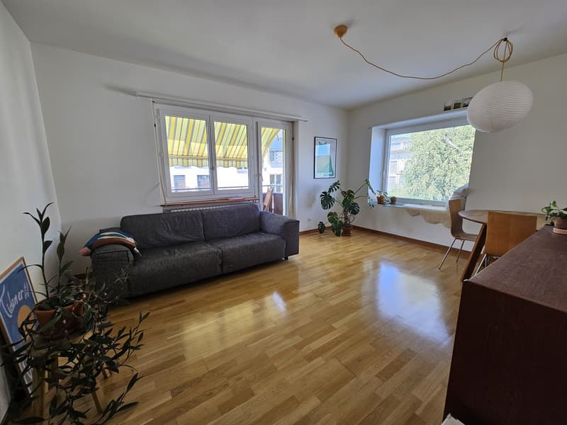 Ruhige 3-Zimmer-Wohnung in Albisrieden (1)