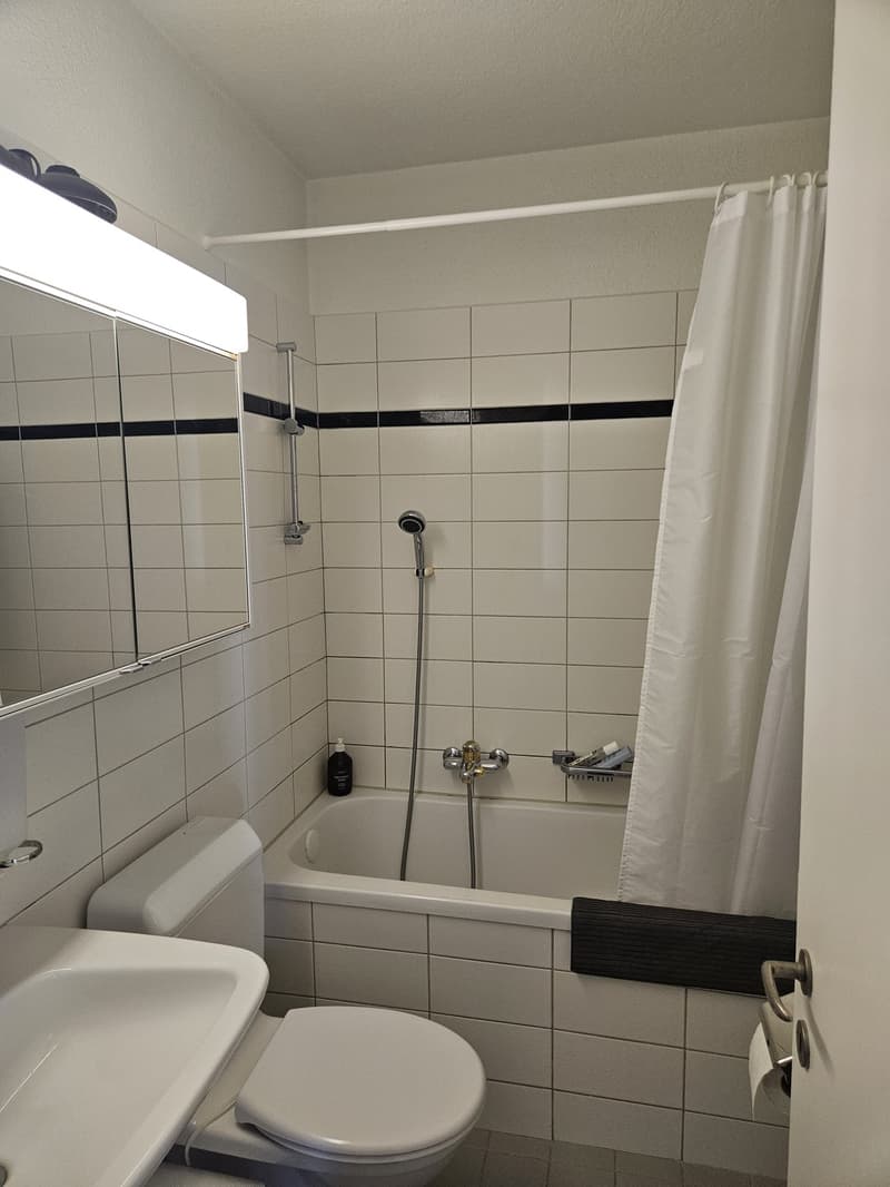 Ruhige 3-Zimmer-Wohnung in Albisrieden (5)
