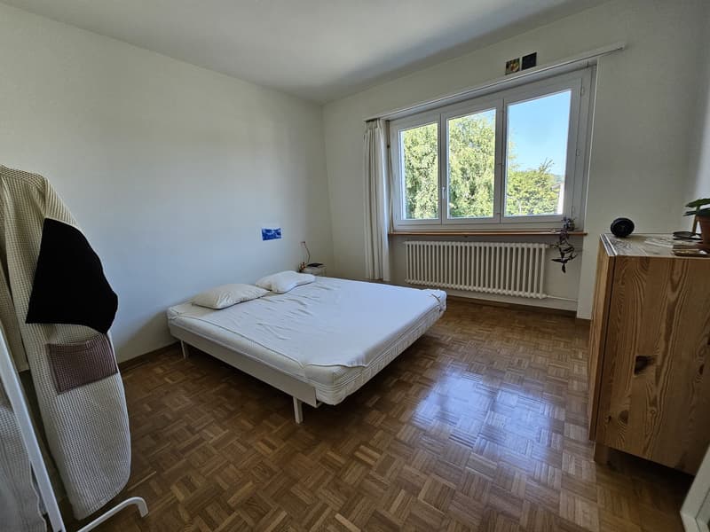 Ruhige 3-Zimmer-Wohnung in Albisrieden (2)