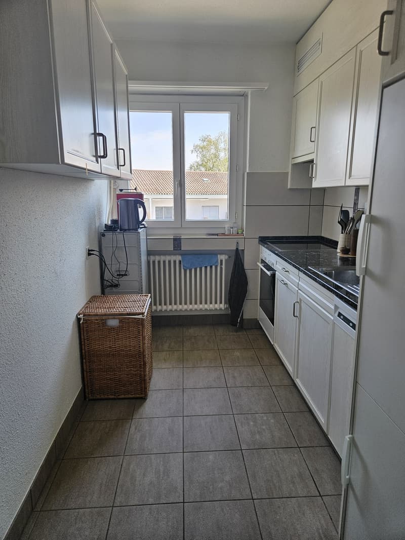 Ruhige 3-Zimmer-Wohnung in Albisrieden (4)