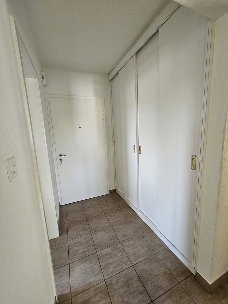 Ruhige 3-Zimmer-Wohnung in Albisrieden (6)