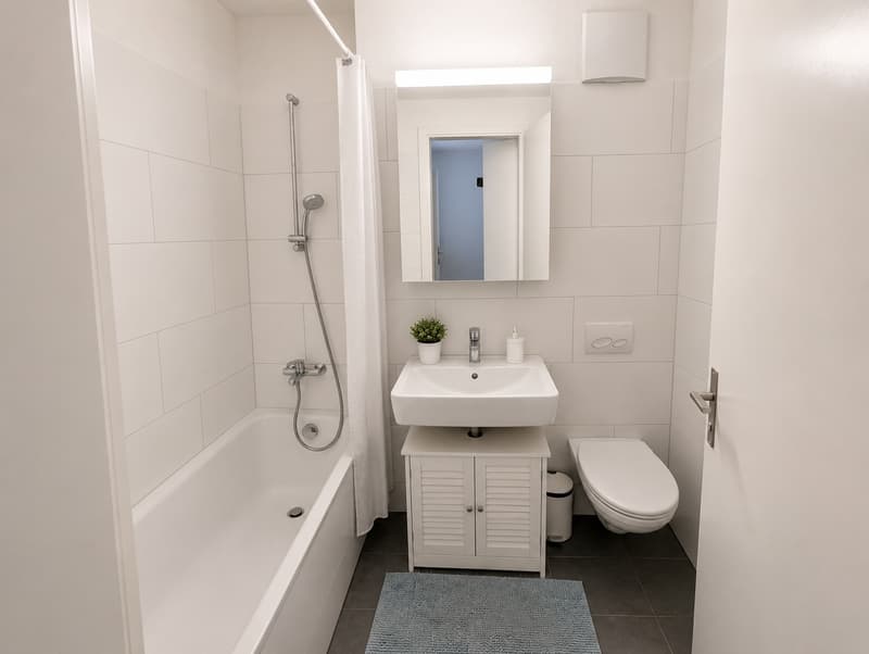 2.5-Zimmer-Wohnung nahe Europallee (3)