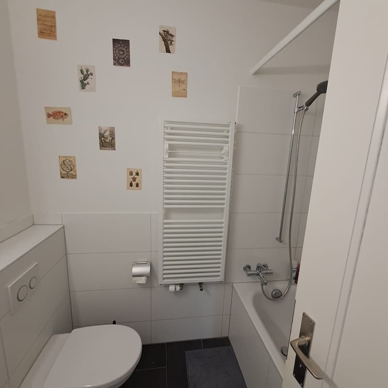 3.5 Zimmer, CHF 1590 (5)