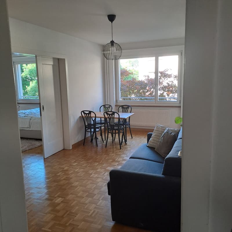 3.5 Zimmer, CHF 1590 (1)