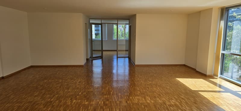 Nachmieter gesucht - take over our lease (4)