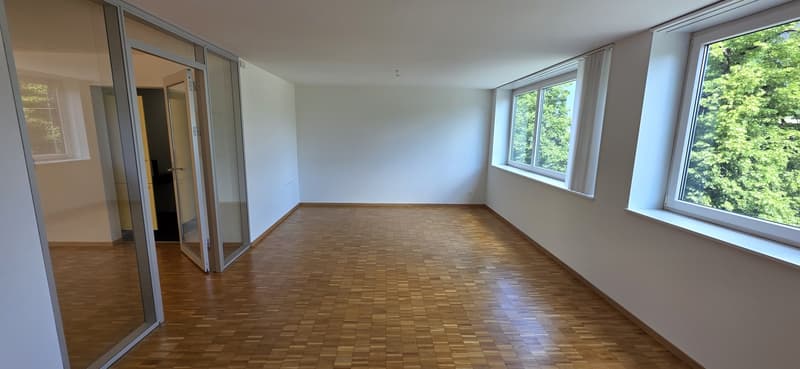 Nachmieter gesucht - take over our lease (3)