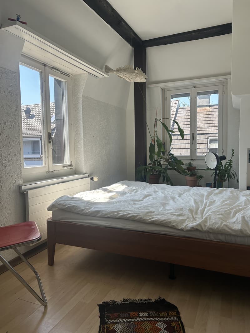 Charmante, unmöblierte Maisonette-Wohnung zur Zwischenmiete (1. August 30. November) (4)