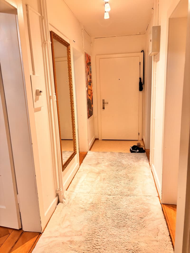 Helle und gepflegte 3-Zimmer-Wohnung (2)