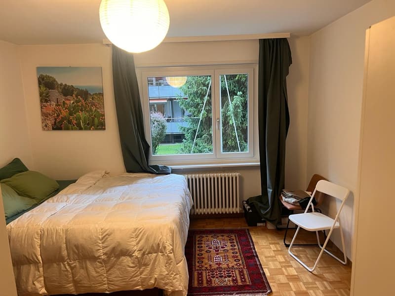 Gemütliche 2.5-Zimmer-Wohnung in Zürich (4)