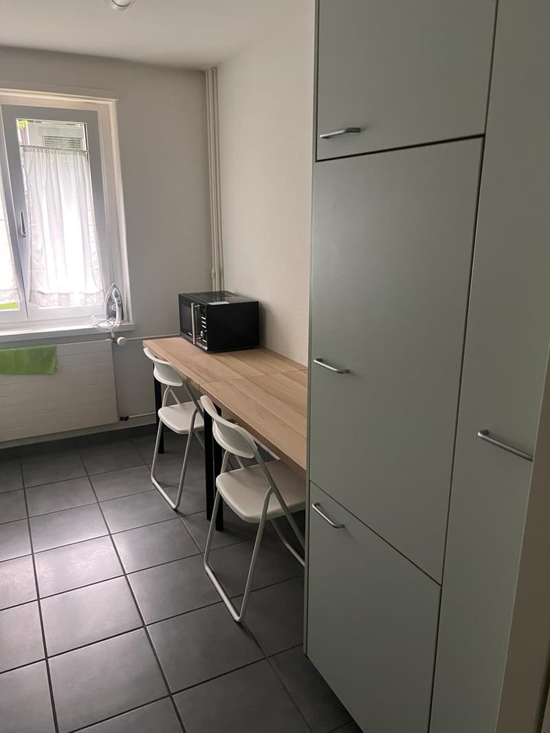 Gemütliche 2.5-Zimmer-Wohnung in Zürich (5)