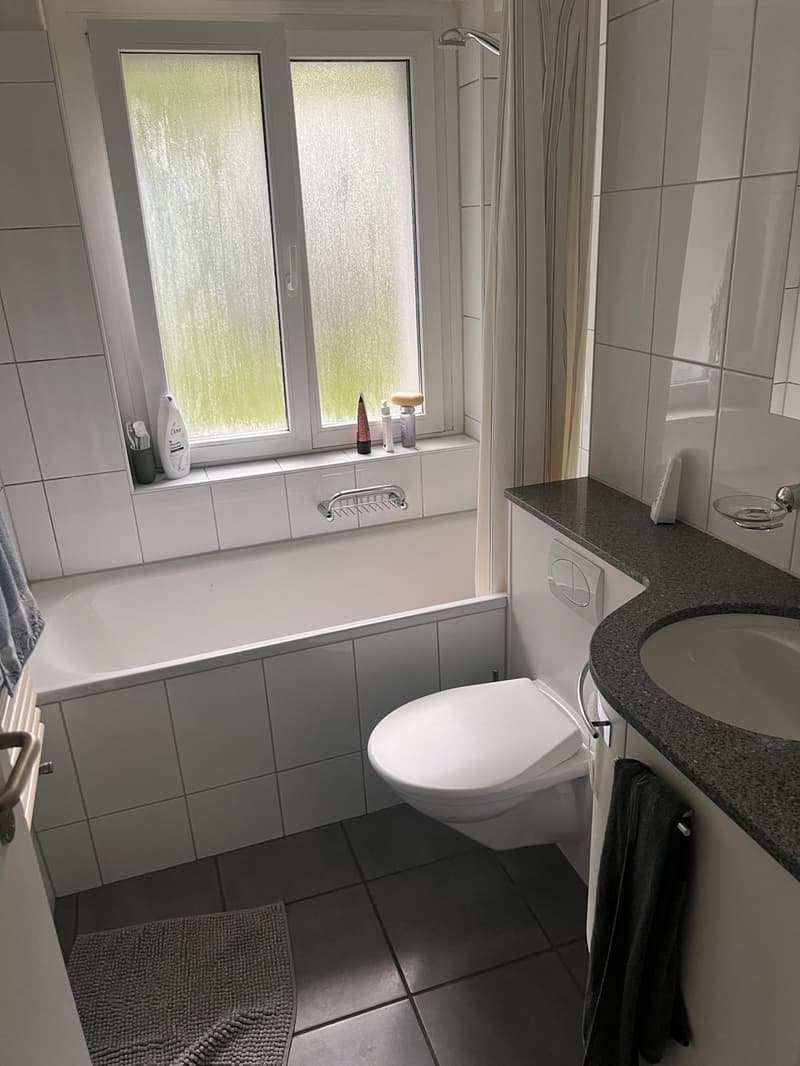 Gemütliche 2.5-Zimmer-Wohnung in Zürich (6)