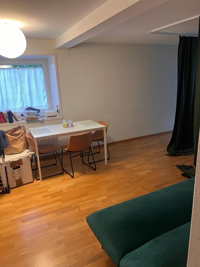 Gemütliche 2.5-Zimmer-Wohnung in Zürich (7)