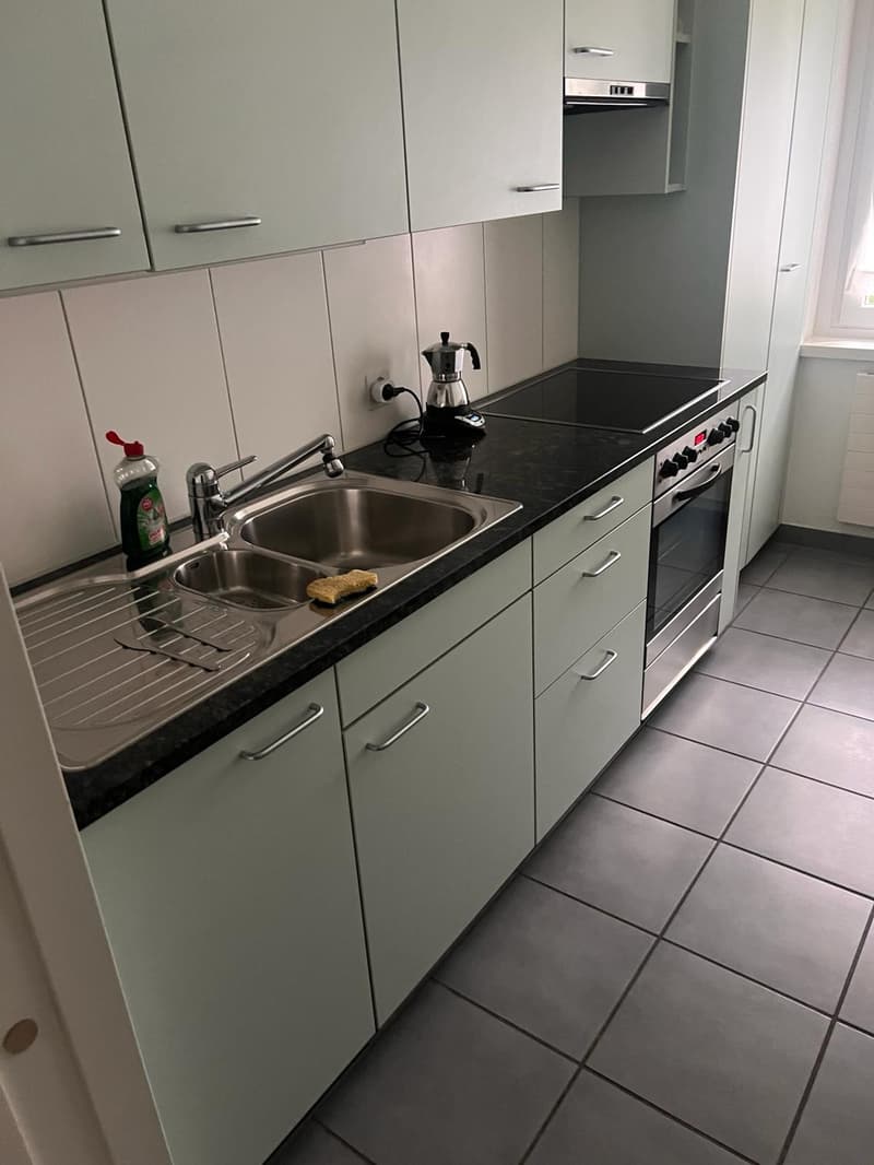 Gemütliche 2.5-Zimmer-Wohnung in Zürich (8)
