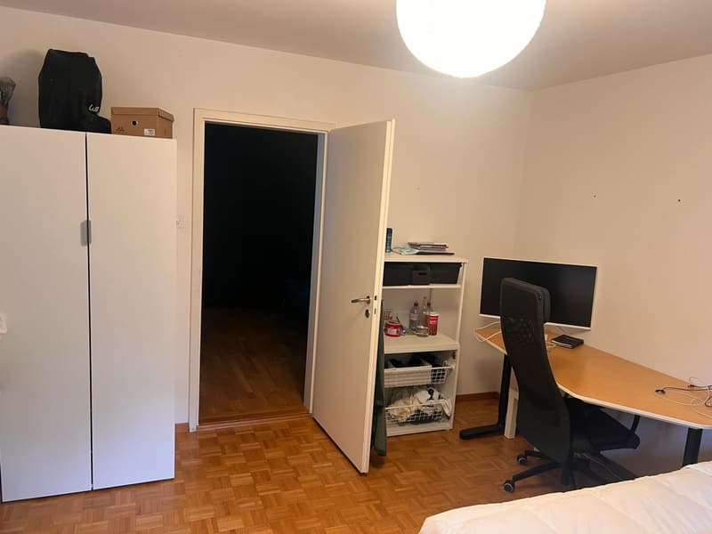 Gemütliche 2.5-Zimmer-Wohnung in Zürich (3)