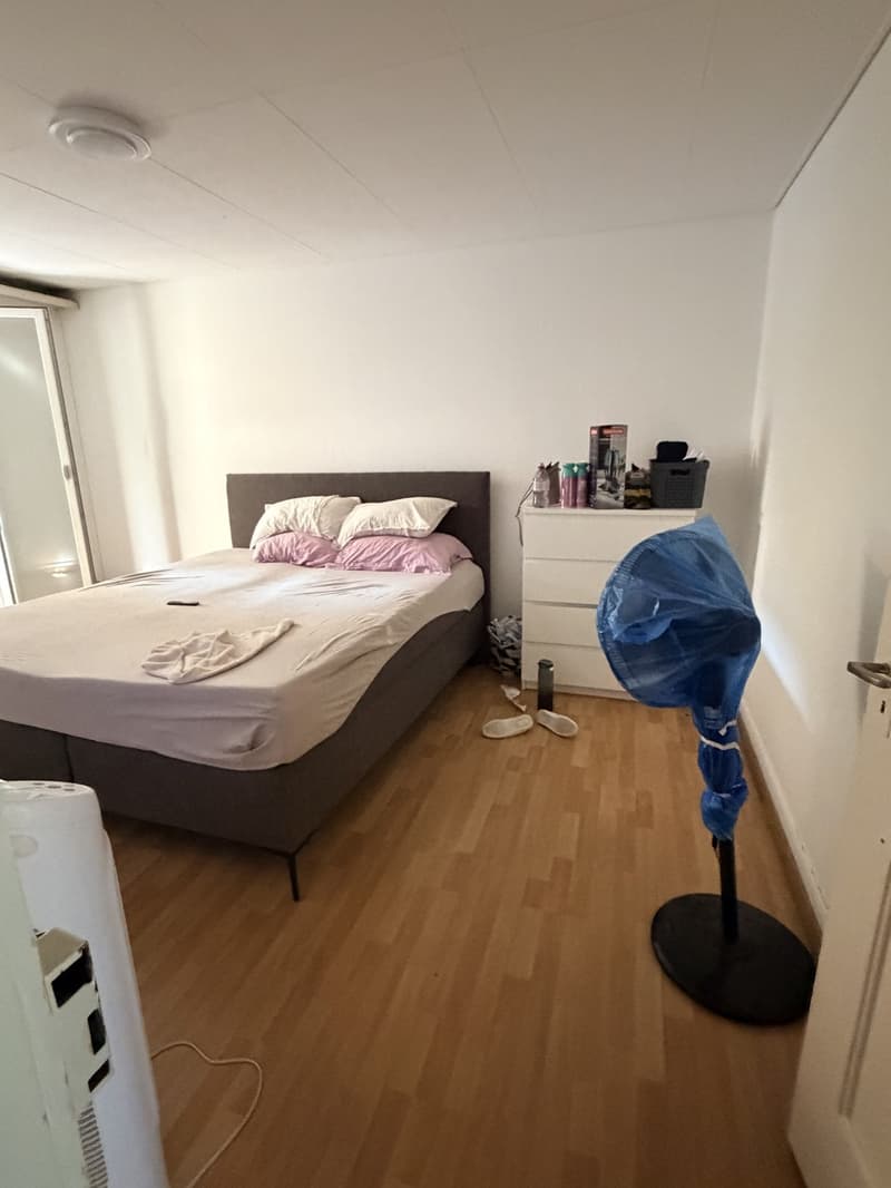3 Zimmer Wohnung (4)