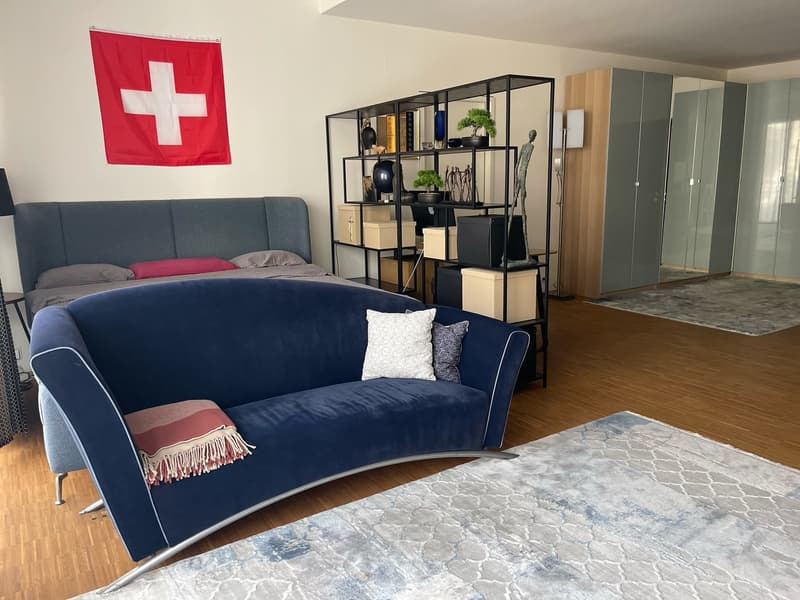 Möblierte 1.5-Zimmer-Wohnung in Zürich, 8004 (Bezirksgebäude) (1)