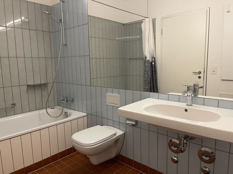 Möblierte 1.5-Zimmer-Wohnung in Zürich, 8004 (Bezirksgebäude) (12)