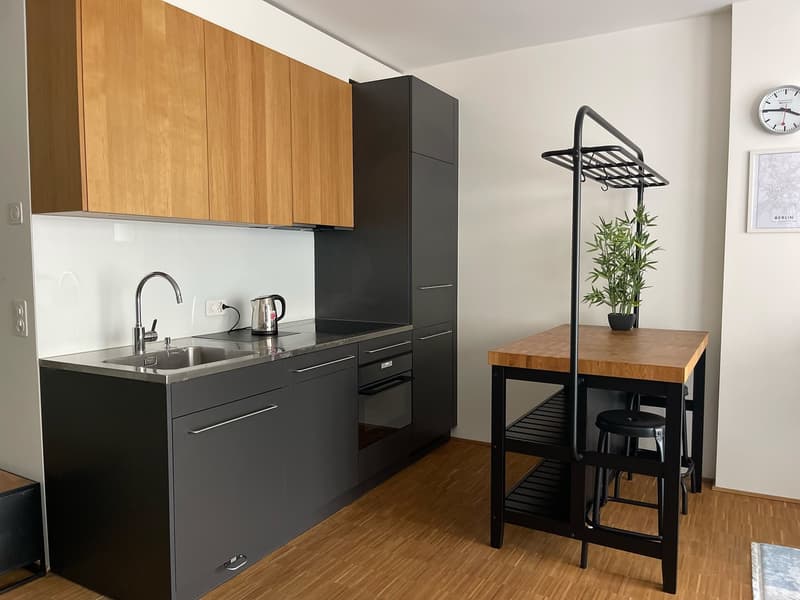 Möblierte 1.5-Zimmer-Wohnung in Zürich, 8004 (Bezirksgebäude) (3)
