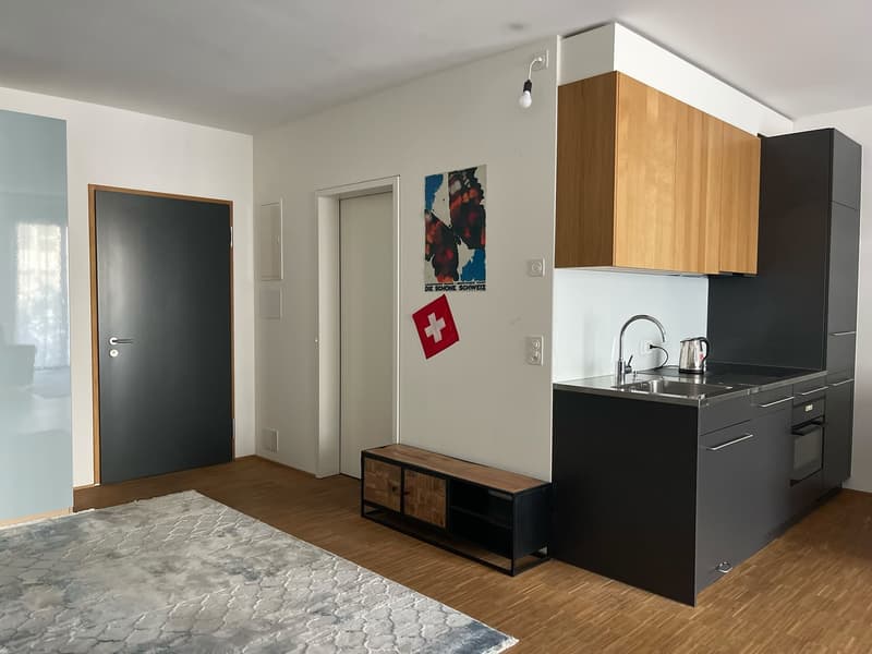 Möblierte 1.5-Zimmer-Wohnung in Zürich, 8004 (Bezirksgebäude) (11)