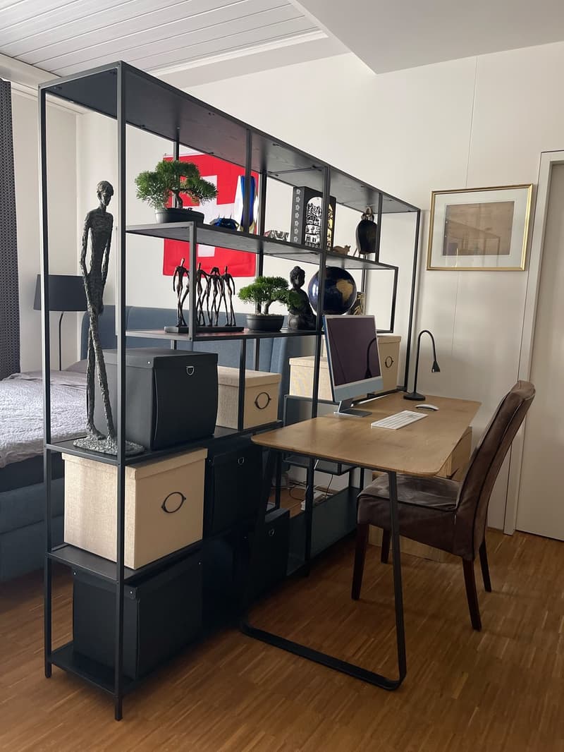 Möblierte 1.5-Zimmer-Wohnung in Zürich, 8004 (Bezirksgebäude) (9)