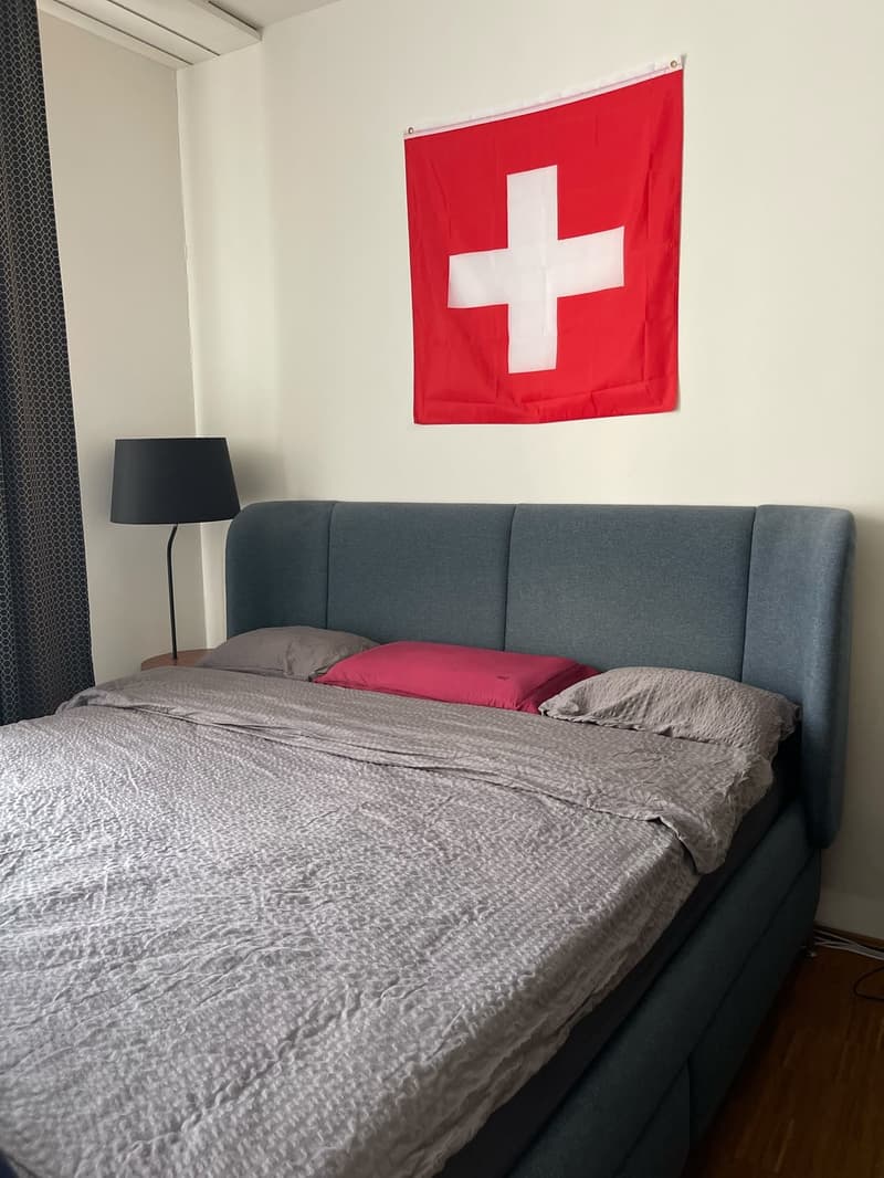Möblierte 1.5-Zimmer-Wohnung in Zürich, 8004 (Bezirksgebäude) (7)