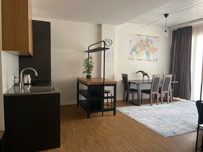 Möblierte 1.5-Zimmer-Wohnung in Zürich, 8004 (Bezirksgebäude) (2)
