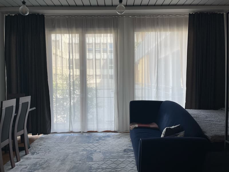 Möblierte 1.5-Zimmer-Wohnung in Zürich, 8004 (Bezirksgebäude) (4)