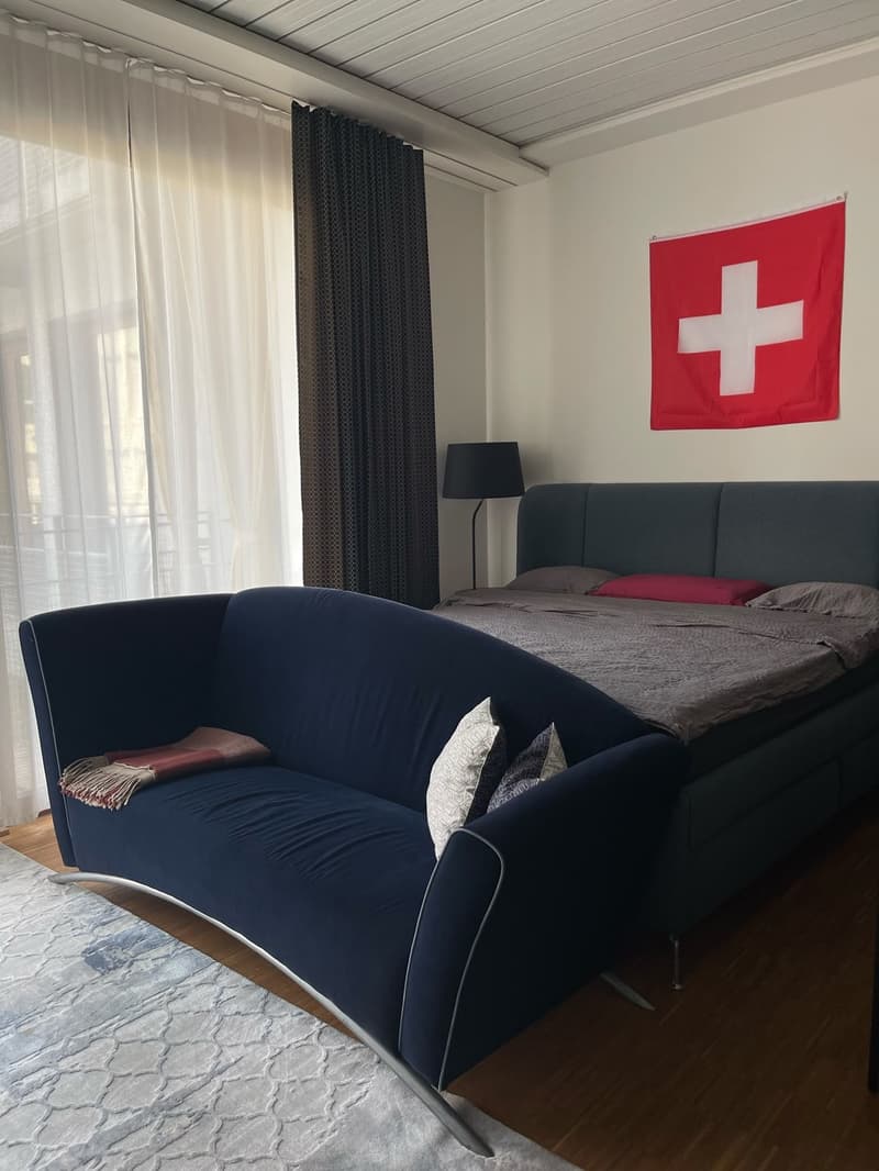 Möblierte 1.5-Zimmer-Wohnung in Zürich, 8004 (Bezirksgebäude) (6)