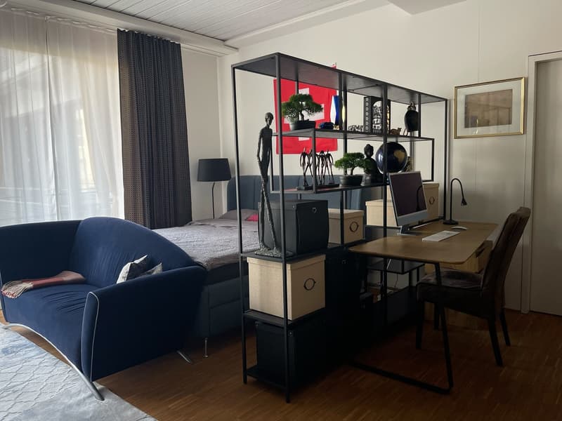 Möblierte 1.5-Zimmer-Wohnung in Zürich, 8004 (Bezirksgebäude) (8)