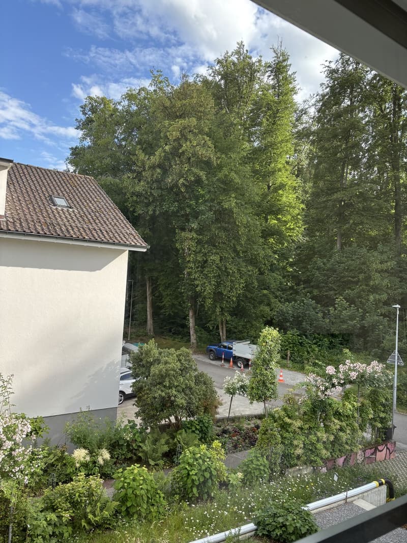 Eine helle und schöne Wohnung in der Nähe des Waldes (2)