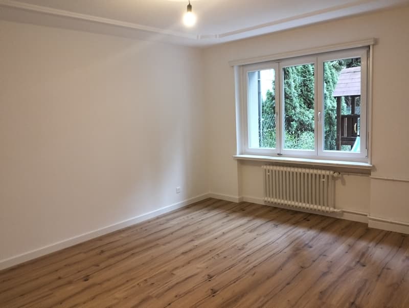 Top renovierte 3.5-Zimmer-Wohnung , Zürich-Wipkingen (5)