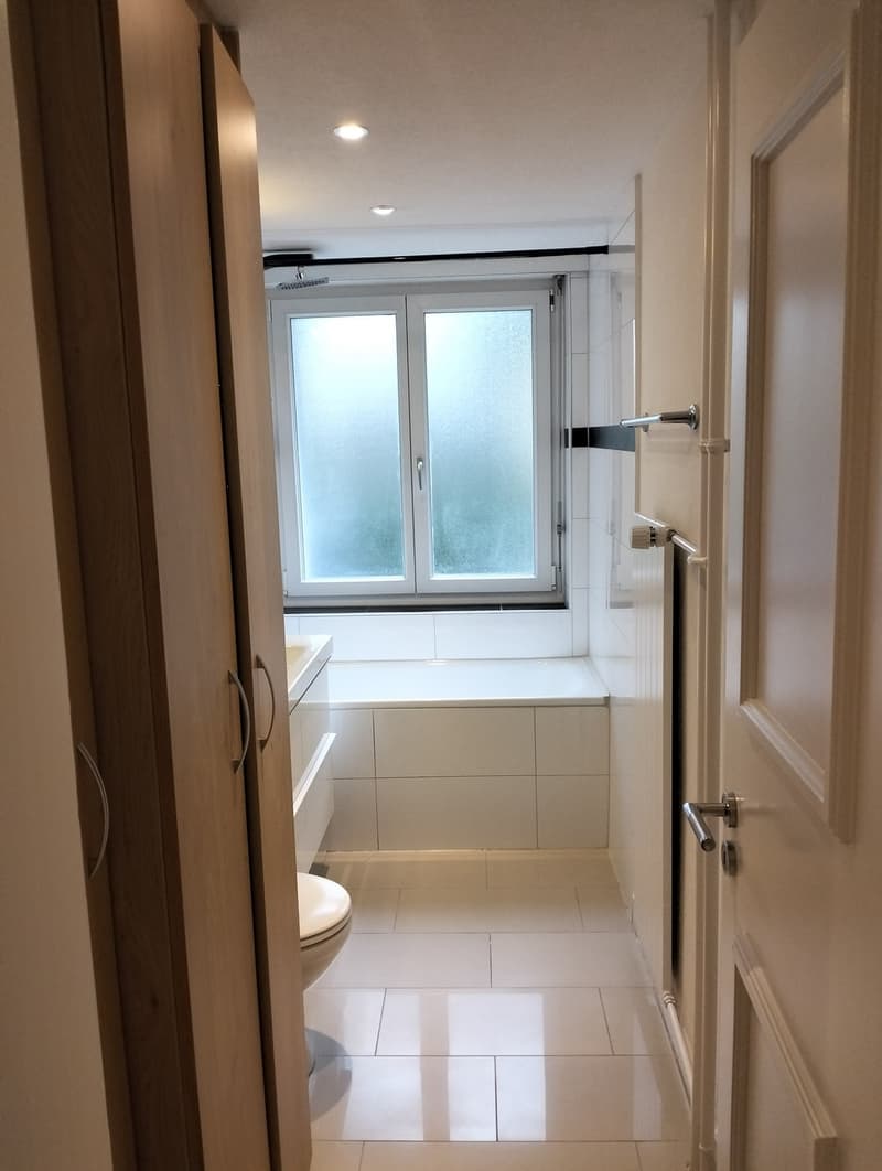 Top renovierte 3.5-Zimmer-Wohnung , Zürich-Wipkingen (12)