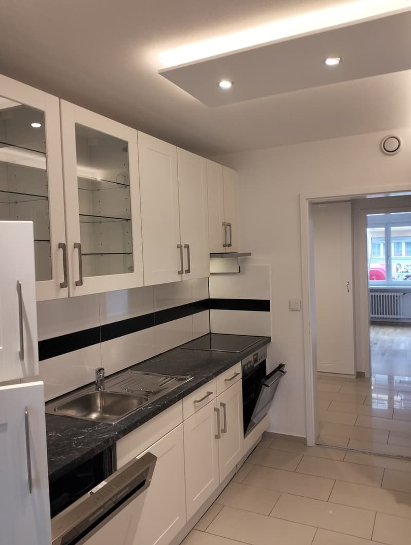 Top renovierte 3.5-Zimmer-Wohnung , Zürich-Wipkingen (11)