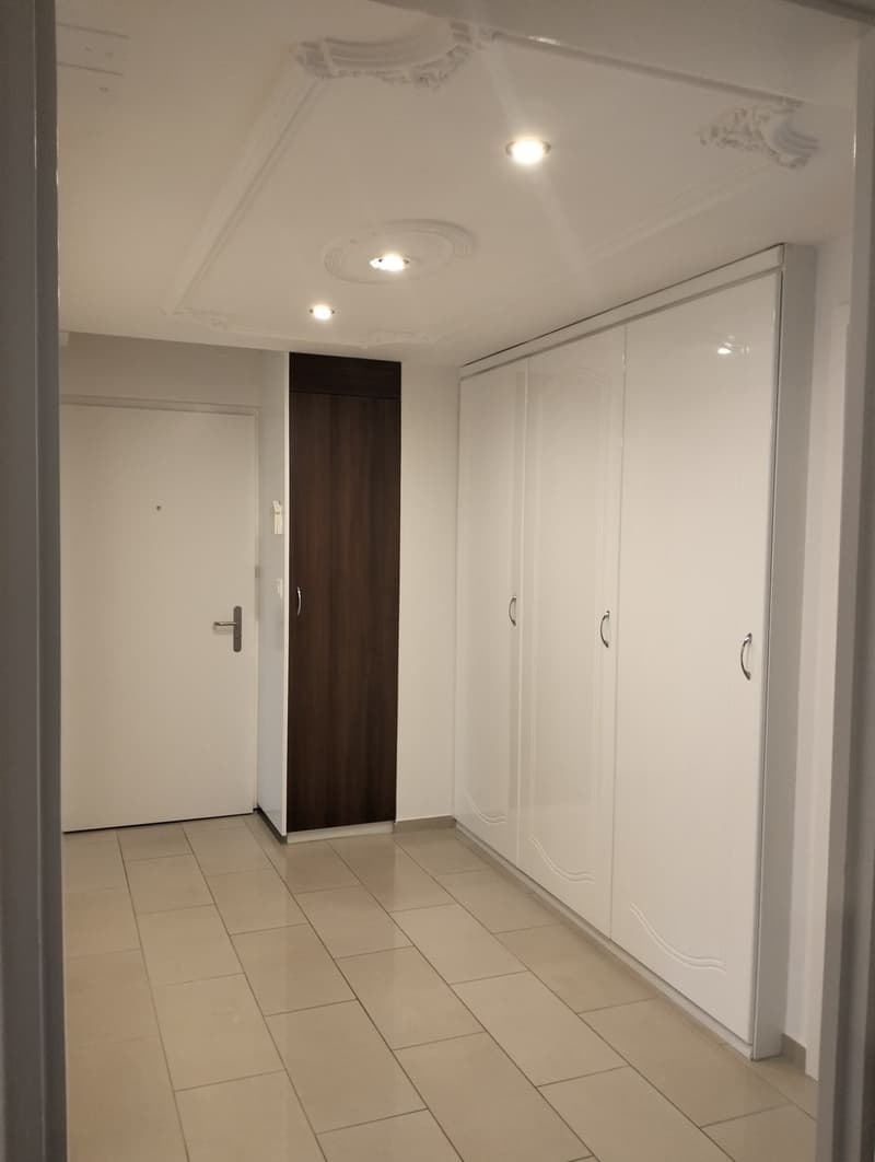 Top renovierte 3.5-Zimmer-Wohnung , Zürich-Wipkingen (7)