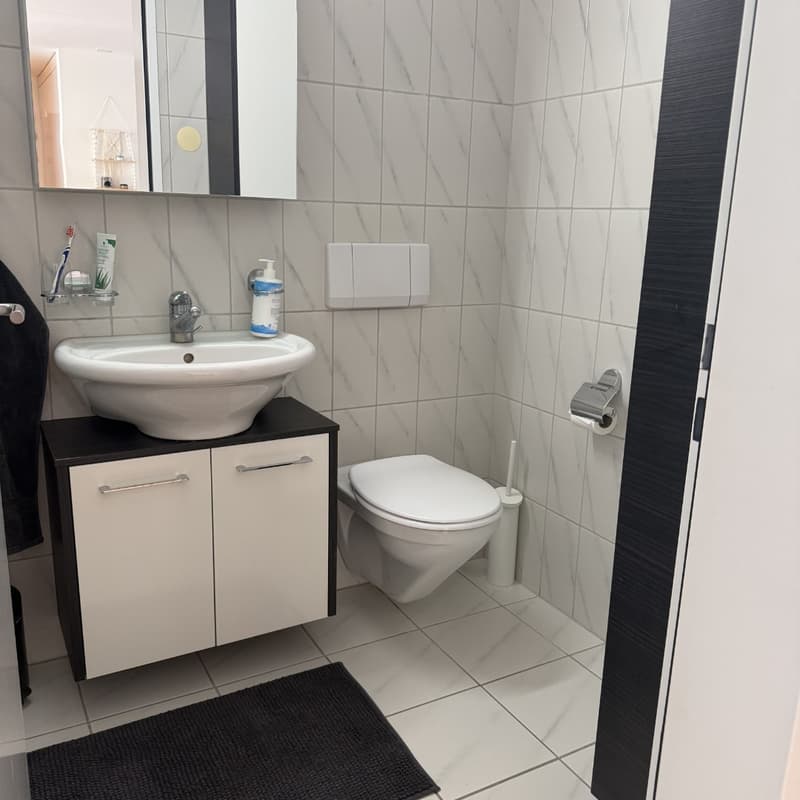Schöne und ruhige 3.5 Zimmer Wohnung in Dietlikon per 01.08.2026 (5)