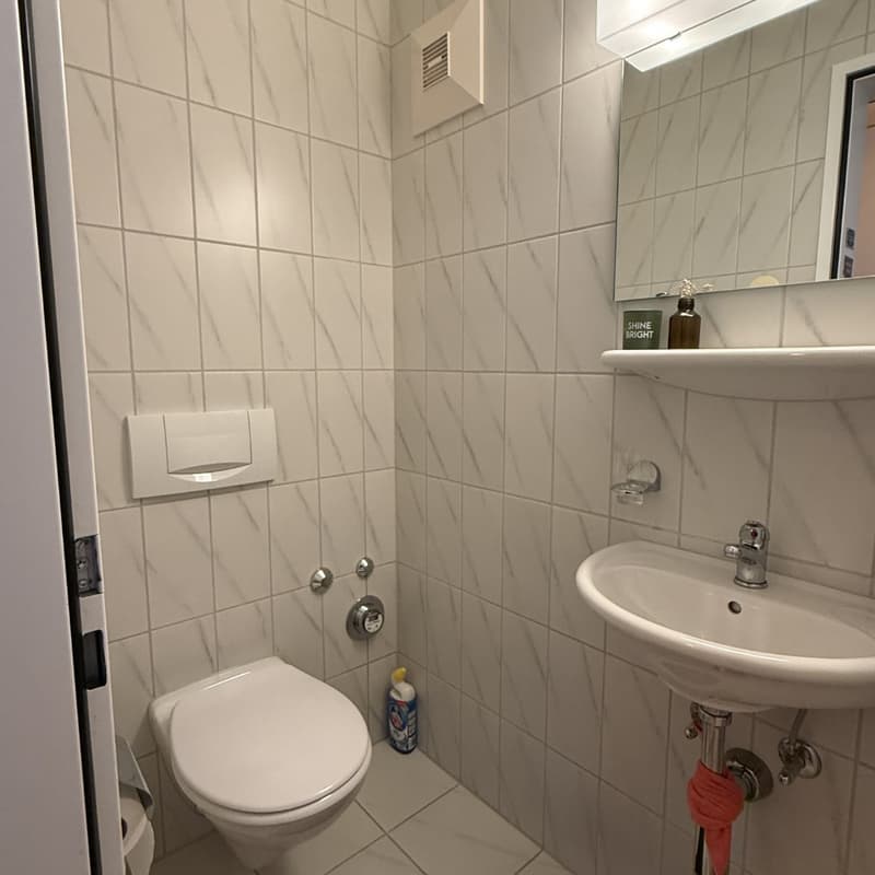 Schöne und ruhige 3.5 Zimmer Wohnung in Dietlikon per 01.08.2026 (9)